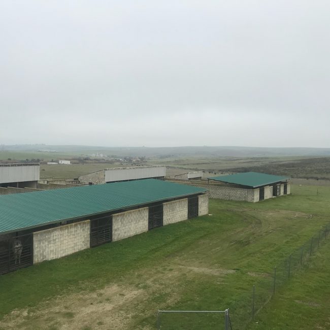 01575a24e43a4ecad28adbbfdef764750ffabd4994