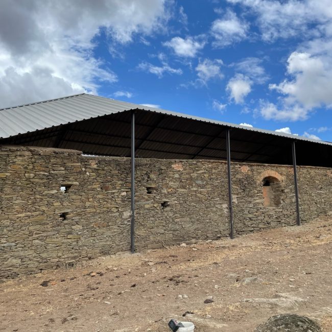 01f63181296688c0bc7e787376d10a660576c48e5d