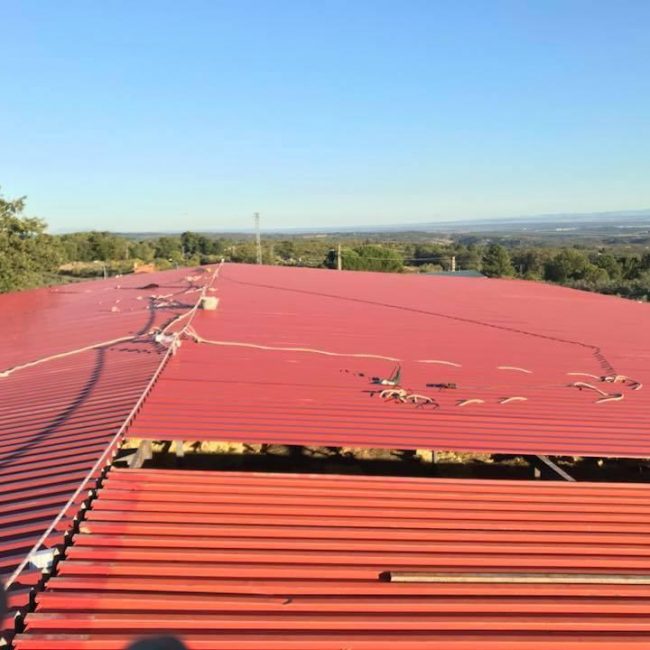 WhatsApp Image 2022-05-09 at 5.34.22 PM (2)