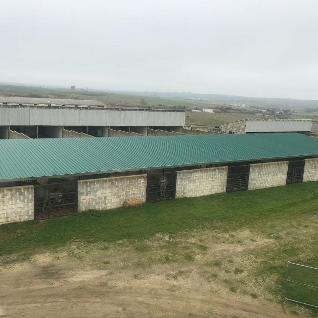 material ganadero (6)